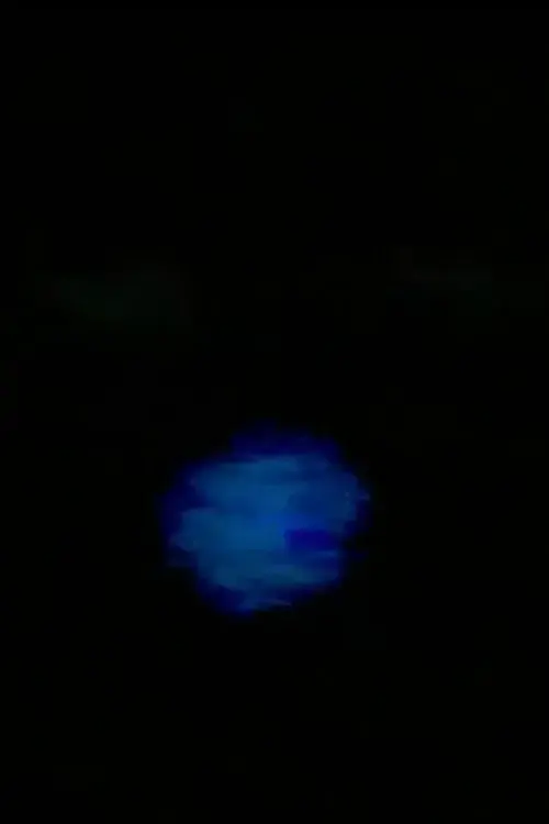 FUCK MERZBOW