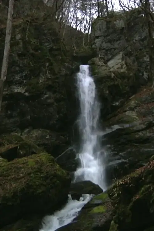 Falling Water, Scattered Scenery