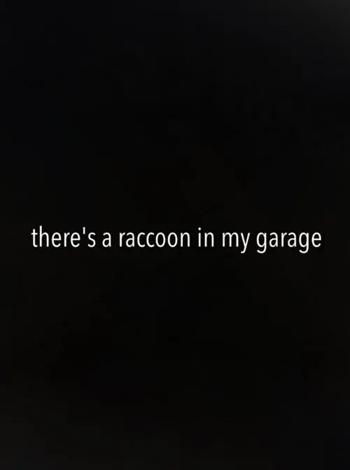 There's a Raccoon in My Garage
