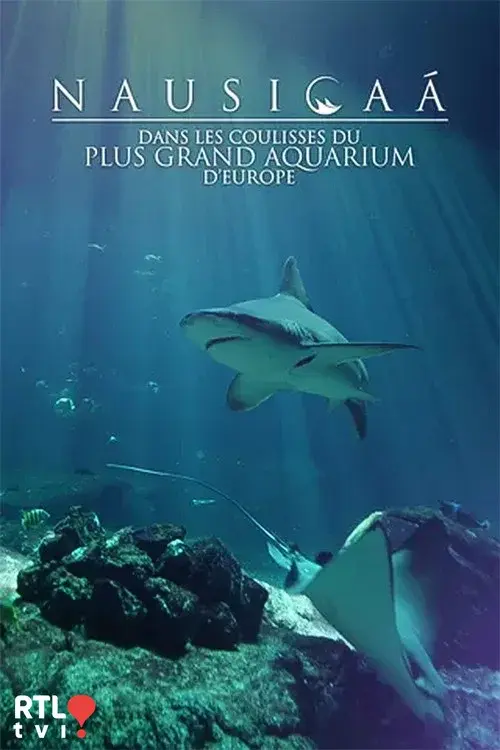 Nausicaá : Dans les coulisses du plus grand aquarium d'Europe