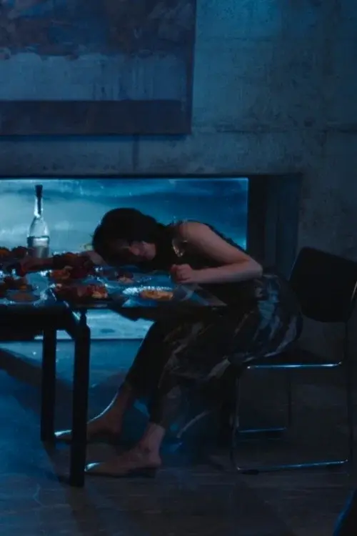 你所不知的妻子