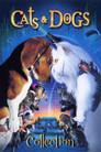 Cats & Dogs Collection