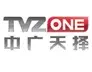 TVZone Media