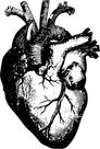 Element e Filmproduktion