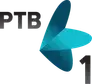 RTV 1