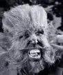 David Navratil
